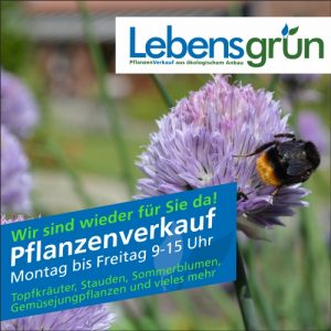 Pflanzen aus ökologischem Anbau